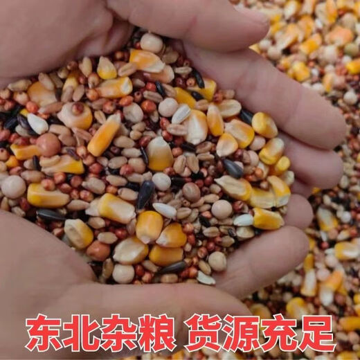 New pigeon food nutrition contains corn 10kg bird food homing pigeon white adult young pigeon ornamental pigeon food without corn pigeon food 10Jin Jin is equal to 0.5 kg