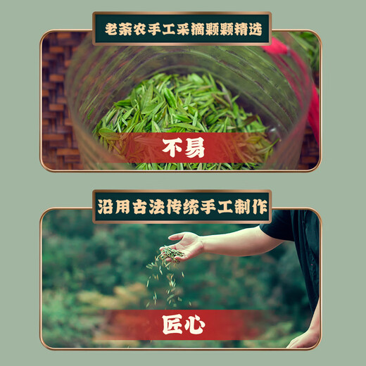 采茶伯茶叶 金骏眉红茶500g 浓香蜜香2025新茶武夷全黄芽袋装送礼自己喝