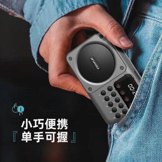 SANSUI M39 radio for the elderly and the elderly charging plug-in card mini speaker portable walkman FM radio audio Bluetooth speaker music player gray