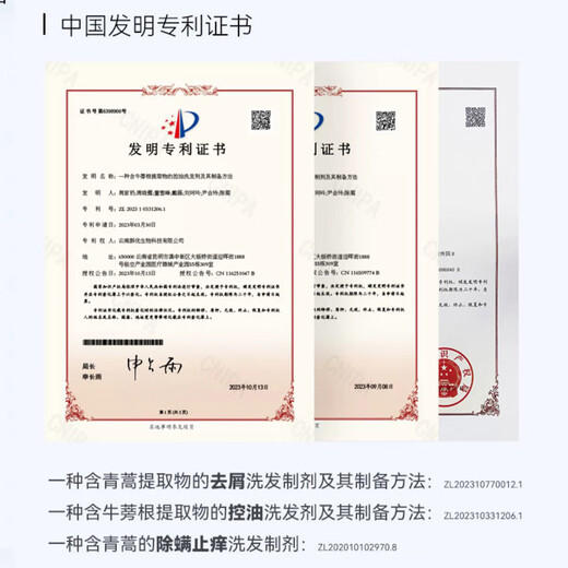 征服青蒿去屑止痒养发去屑洗发水控油止痒抑螨蓬松去头螨洗发乳洗发露 生姜洗发乳728ml*新老包装随机发
