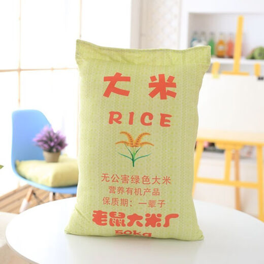 美克杰创意仿真抱枕个性水泥枕头沙发靠垫毛绒玩具礼物搞笑生日礼 水泥 大号50*34厘米(配小鸡腿)
