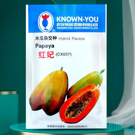 Anselmi Fruit Papaya Seeds from the South Farmer Hongfei Papaya Seeds 5g/bag