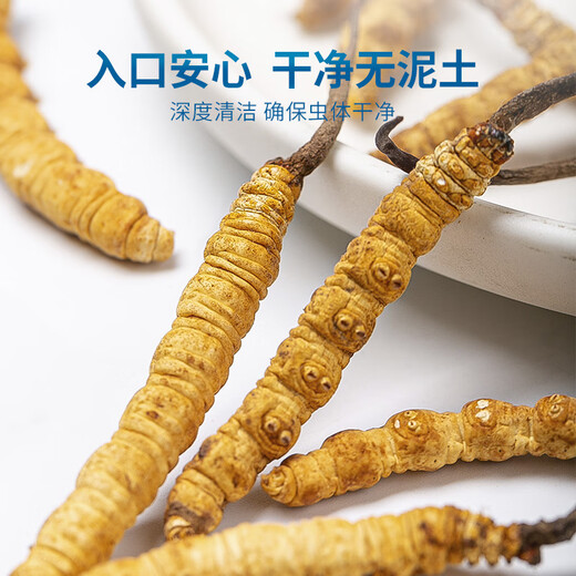 Juhe Taitou Cordyceps Gift Box Новая годовалые подарки для членов семьи, старейшины, пожилые тоники для здоровья [4 палочки/G 10 палочек-2,5 грамм] праздничные подарки для здоровья
