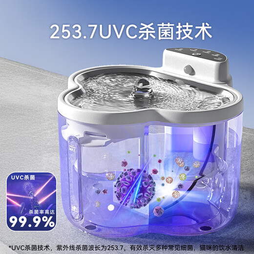 HIPIDOG NOUVEAU CAT DISTRANSE DE L'EAU CONTUNÉE TEMPÉRATION CHAUT MACHINE CAT AUTRE ANTÉRIEUR PET AUTOMATIQUE AUTOMATIQUE DISTRONNEMENT D'EAU DISTRANS