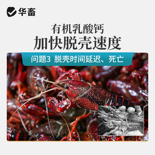 Huazhu Youneng Suckling Pig Cattle, Sheep, Poultry and Chicken Trace Elements for Aquatic Products Veterinary Calcium Supplement Feed Additive Liquid Organic Milk Calcium 1 Bottle Organic Liquid Milk Calcium 1L/Bottle