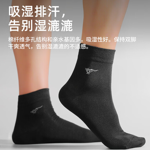 七匹狼12双男士袜子夏季精梳棉吸汗中筒袜轻薄透气棉袜男黑色商务男袜zi 12双盒装(混色+黑色)吸汗透气 均码 (26-28CM)弹性好适合38-45码