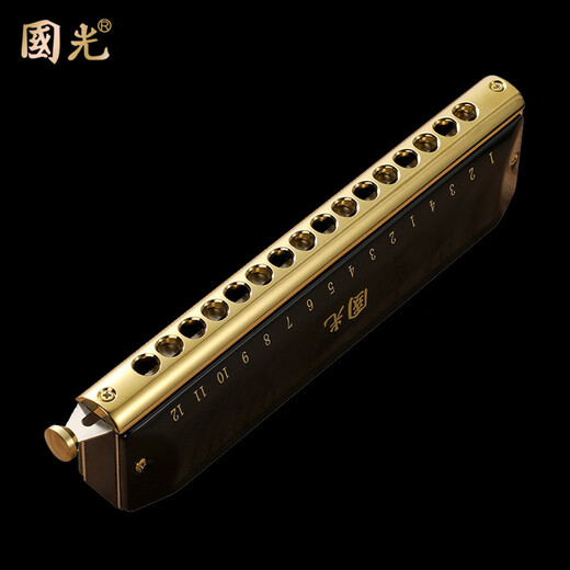 Guoguang Chromotic Harmonic 12-hole 48-tone C-tune 16-hole Advanced Professional Performance Beginner Adult Children Primary School Students 10-hole C-tune Guoguang Silver (Square-mouth Standard)