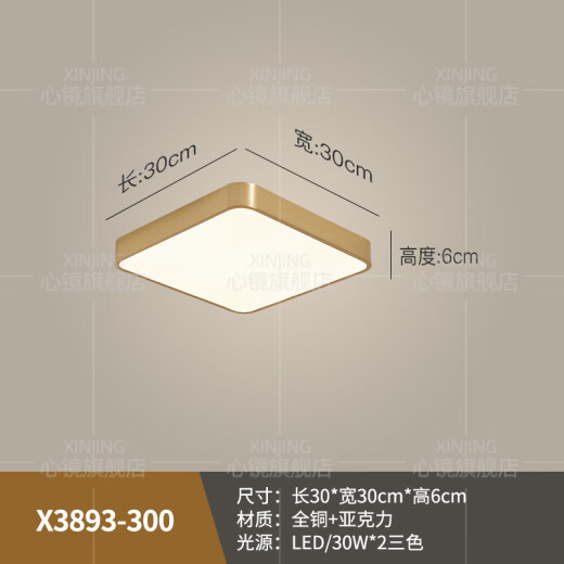 心镜全铜户外吸顶灯别墅超薄入户门灯走廊过道阳台灯露台防蚊虫庭院灯 X3893-300/方形
