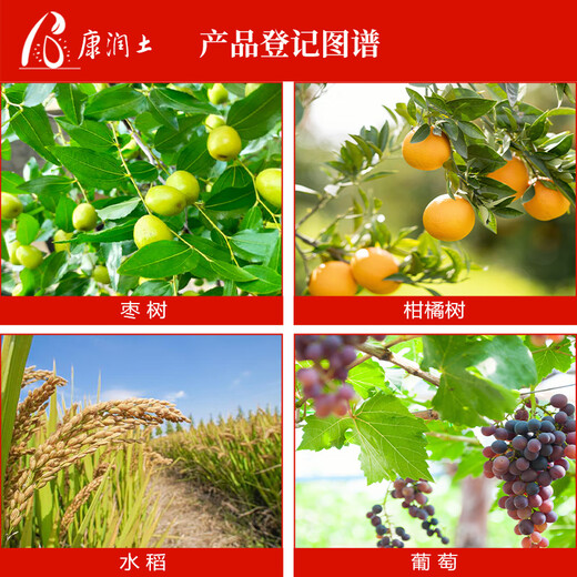 Keibao American Keibao 20% gibberellic acid 920 plant growth regulator grape red citrus promotes and regulates growth 1g