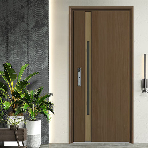 
Foaming and filling silent Class A security door hidden lintel wood grain transfer entrance door 2025 new Chinese luxury house mother door mechanical lock 2250*1050