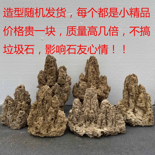 Fine small water stone bonsai rockery absorbent stone micro landscape decoration strange stone ornaments natural original about 17-22cm plus grass seeds and stones