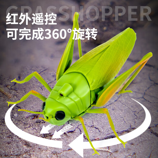 爱帛哆遥控蚂蚱电动玩具小男孩女孩网红仿真会动昆虫爬虫小动物儿童整蛊 [经典版-遥控毛毛虫]绿色款991 均码
