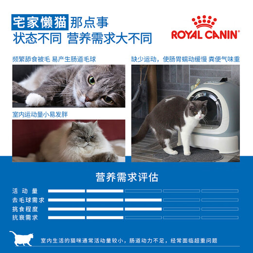 Royal Indoor Cat Food I27 General Foods Over December 400g