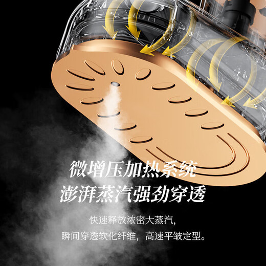 Fat Donglai Handheld Garment Ironing Mechanical Electric Iron Mini Business Travel Portable Direct Plug Electric Small Beige-Flat Garment Ironing Dual-Purpose European Regulation