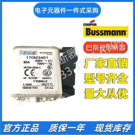 SBAPES 巴派斯Bussmann 170M3516 170M3517 170M3518  170M3519 熔断器 170M3519