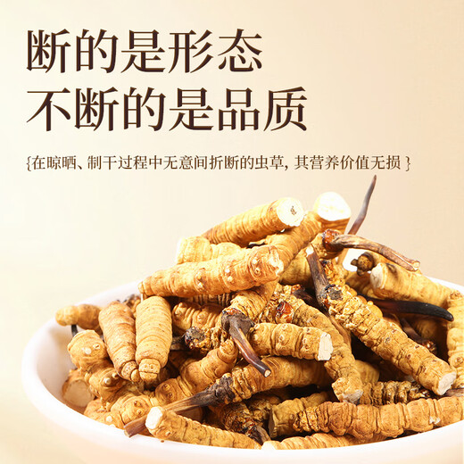 Purple and blue flowers sea of insects, Cordyceps sinensis 5g (8-11 roots) selected quality Cordyceps nourishing [Health gift box]