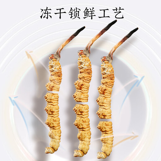 Tongrentang Marke Peking Tongrentang Cordyceps sinensis High-End-nahrhafte Nahrungsergänzungsgeschenke für Eltern und ältere Menschen 2 Flaschen 40 g [ausgewählter Grasabschnitt] Genießen Sie die ganze Familie