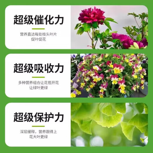 Plant regeneration agent, concentrated nutrient solution, resurrection solution, hydroponic flower fertilizer, indoor potted plant nutrient solution, universal type 5 boxes (30 pieces 540g)