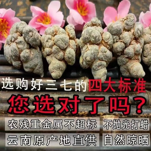 Jingqingyuan, Yunnan Wenshan Chun Sanqi Selection, Sanqi -Kopf, extra klassische authentische Tianqi, Frühling 20 Köpfe, 30 Köpfe, 10 Köpfe [14 Köpfe, 500 g] Sanqi Wang, keine Schnitte, glatte Haare, Haare (bitte hinterlassen