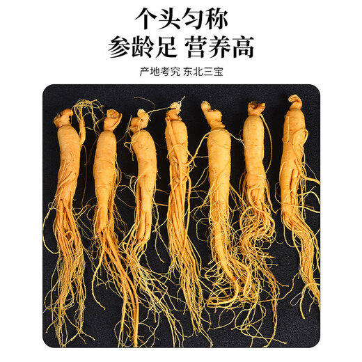 Qingqitang Changbaishan Ginseng Ganzes mit Geschenkbox in Wein und Suppe Tonic Northeast Specialty Vatertagsgeschenke für Älteste eingeweicht