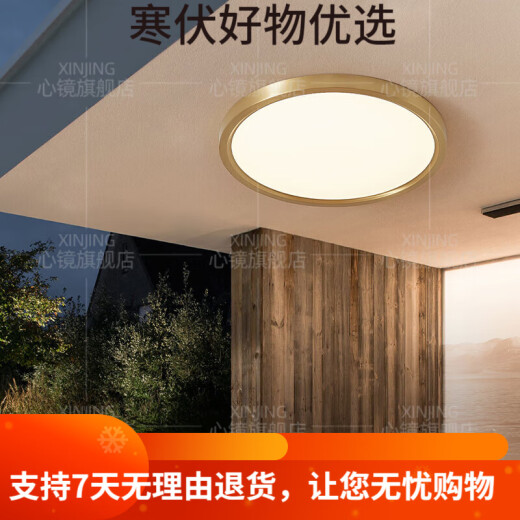 心镜全铜户外吸顶灯别墅大门口门前灯室外过道阳台灯防蚊虫庭 X3893-500/方形