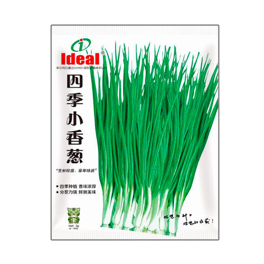 Ldeal ideal agriculture four-season shallot seeds balcony potted vegetable seeds shallot seeds about 1500 capsules