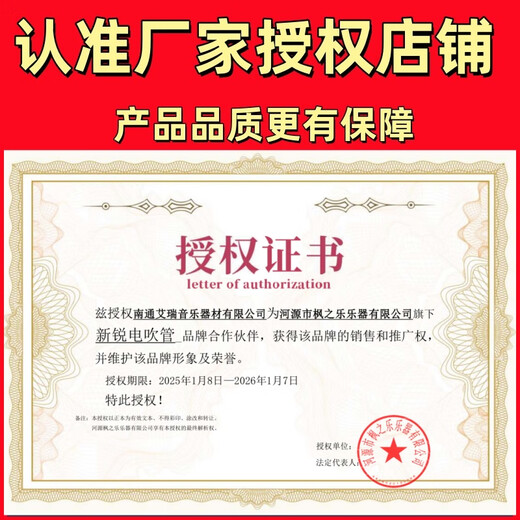 新锐XR6000电吹管【官方正品】新款国产正品电萨克斯电子笛专业乐器  新锐6000出厂配置【限时送音箱+收发器】