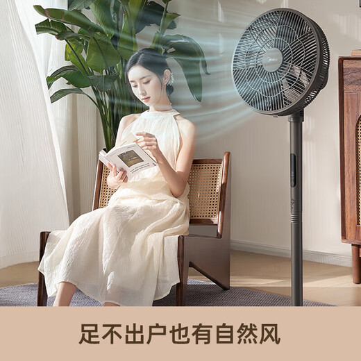 Midea Electric Fan Floor Fan Household High Wind Light Sound Desk Stand Dual-Purpose Circulation Fan Intelligent Remote Control Timing Energy-Saving Fan Level 1 Energy Efficiency Clover Series National Subsidy 12-inch Black APP Zhilian Antibacterial Fan Blade SDI30DS