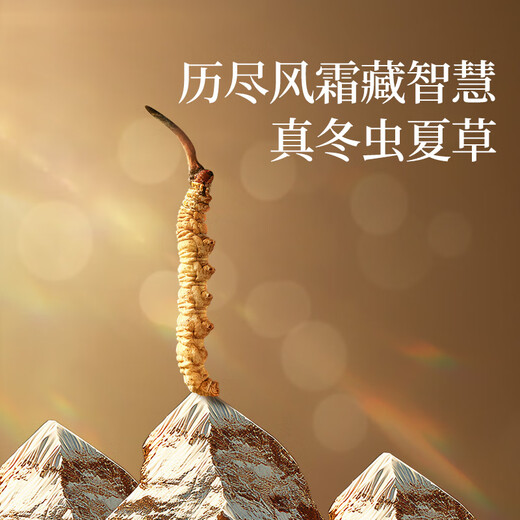 Tongrentang brand Beijing Tongrentang Cordyceps sinensis high-end nourishing gift box gift for the elders Fankaifugui About 5 pieces/g 7g*1 box