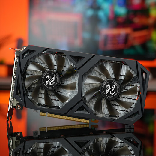 Panlai GTX1080TI / 1050TI / 1660SUPER / 1660TI CARTÉ GRAPHIQUE DE GAMIN