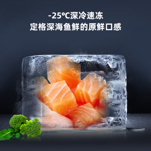 奥马（Homa）695升超大容量家用冰箱双开门对开门两门 一级智能双变频节能省电风冷无霜 AG+蓝晶除菌