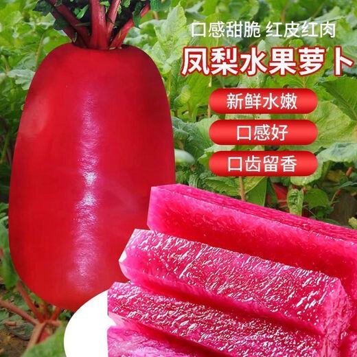3341 pieces in 30 days, raw pineapple fruit radish seeds, purple beauty radish, rouge radish seeds, summer four, premium original, 300 capsules, three packs, fruit-type pineapple radish seeds (new this year)