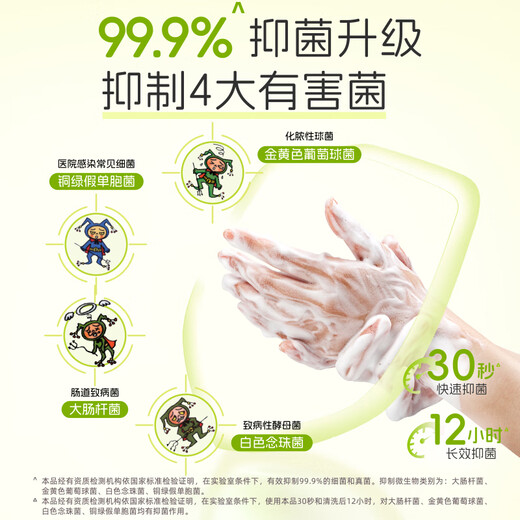 Lion Qujing Foam Antibacterial Hand Sanitizer Green Field Green Mango Fragrance 250ml Natural Plant Extract Moisturizing Home Moisturizing Children