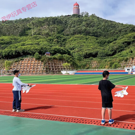 Songhu Fernbedienungsflugzeug mit fester Flügel, Modellflugzeuggleiter, Drop-resistente Schaumkinder, Schulwettbewerbsvorräte, empfohlen für den Kauf von elektrischen Testgeräten