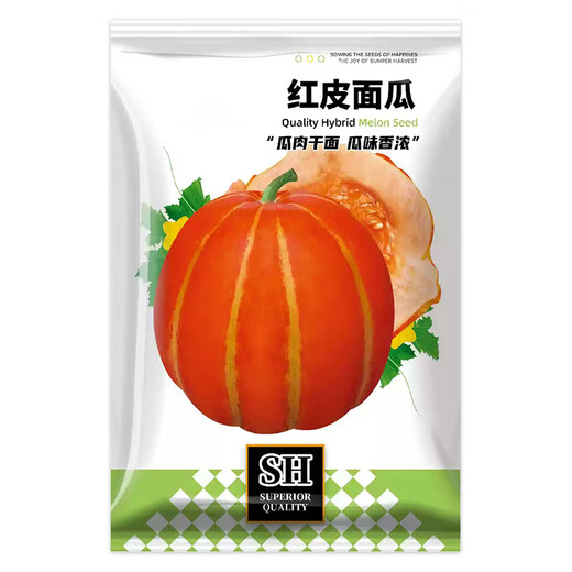 Beishu Bingtangzi melon seeds collection Boyang melon seedlings red-skinned melon seeds 100 capsules/bag