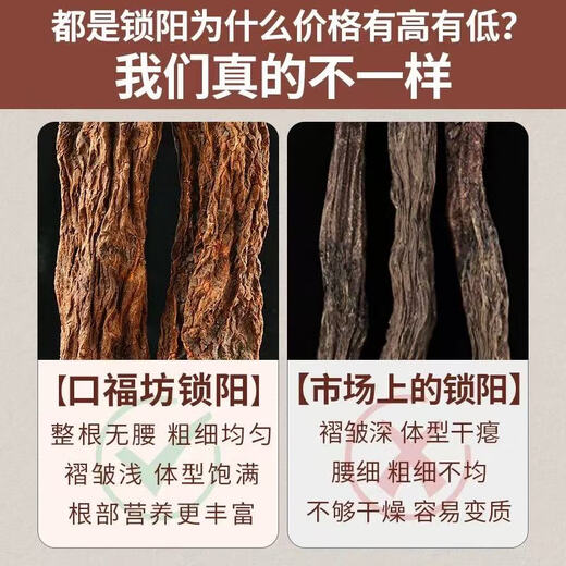 Shen Dingqi Inner Mongolia Pure Wild Gold Suoyang Chinese Medicinal Material Whole Cistanche Epimedium Ni Haixia Eight Diamond Soaked Wine Suoyang Whole Root 250g [2-3 Roots]