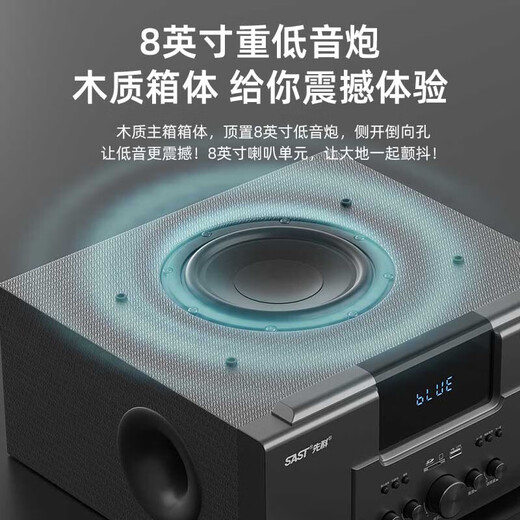 先科（SAST）家庭影院套装5.1声道音响落地组合家用功放机音箱客厅影院电视客厅影音室麦克风款
