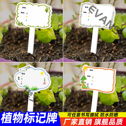 Xushansi Kindergarten Simulation Pot Brand Gardening Simulation Flower Pot Simulation Label Signage Succulent Care Brand DIY Handmade YHCD-04 10x16cm