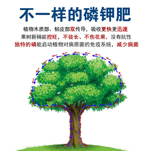 Potassium phosphate foliar fertilizer for agricultural fruit trees and vegetables, fruit expansion, color control, disease resistance, fruit preservation, phosphorus and potassium water-soluble fertilizer 1500g*12 bottles