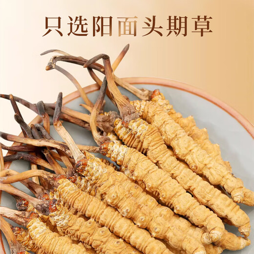 Story nutritionnel Cordyceps Cordyceps Boîte-cadeau sélectionnée de haute qualité Plein sans herbe Broken Grass Nouvel An Cadeaux Festival pour l'auto-utilisation [Selected and Body] Broken Grass 5G