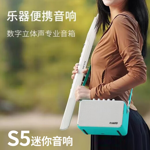 尚好（SACCVH）尚好S5音箱电吹管专用萨克斯吉他户外直播内录弹唱充电蓝牙小音响 S5孔雀蓝+萨克斯无线麦 SH830