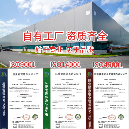 舜选一次性口罩防尘S9901防花粉柳絮工业粉尘飞沫细菌防护口罩透气男女50只/盒