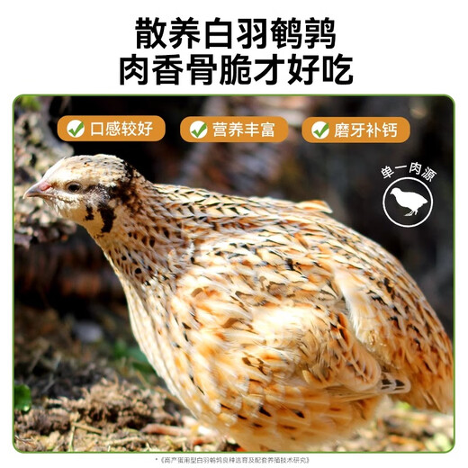 Small frozen quail, freeze-dried cat snacks, pet dogs, weight gain, cheek growth, teeth grinding, calcium supplement, adult cat and kitten cat food, 100g of quail + 5g free (freeze-dried* about 80 pieces), refundable if you don’t eat, please feel free to buy