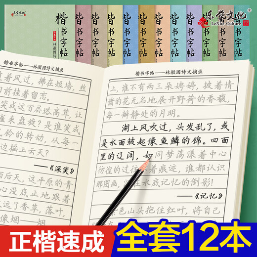 楷书练字帖楷书临慕字帖硬笔临摹字帖练字成年男楷书入门钢笔练字本大学生成年人书法诗词精选基础笔画描红练习本初学者写字帖 楷书临摹12119字）名家散文+诗歌精选+纳兰2