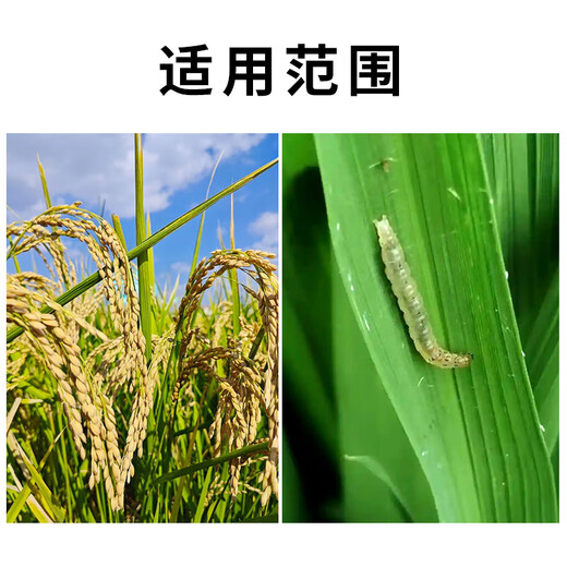 Hulian Plant Protection 10% Abamectin Suspension Agent Rice Leaf Roller Caterpillar Fruit Tree Vegetable Flower Pesticide Insecticide