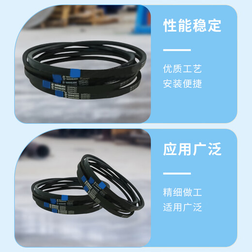 Sanlux triangle belt C3251