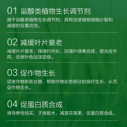 Zhongbao 24 Epibrassinolide Rice Citrus Wheat Cucumber Growth Promoting Root Plant Growth Regulator Pesticide 500ml