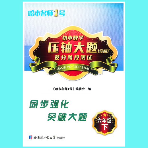 哈尔滨工大附中名师一号压轴大题答案详解678上下册54制初中 八年级下