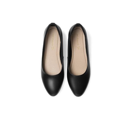 Red Dragonfly Leap Month Women's Singles Shoes 25 Spring Women's Shoes Black Thick Heel Commuter Small Leather Shoes Work Shoes WJB15816 Black 39