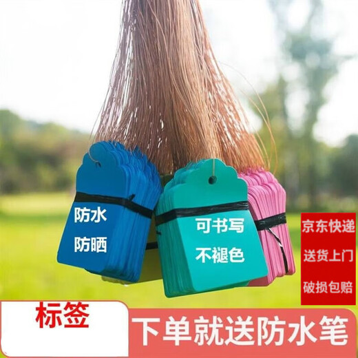 西普顿塑料标记牌书写防水记号吊牌标签牌苗木植物吊签园艺标识牌带线 5*7cm绿100片 